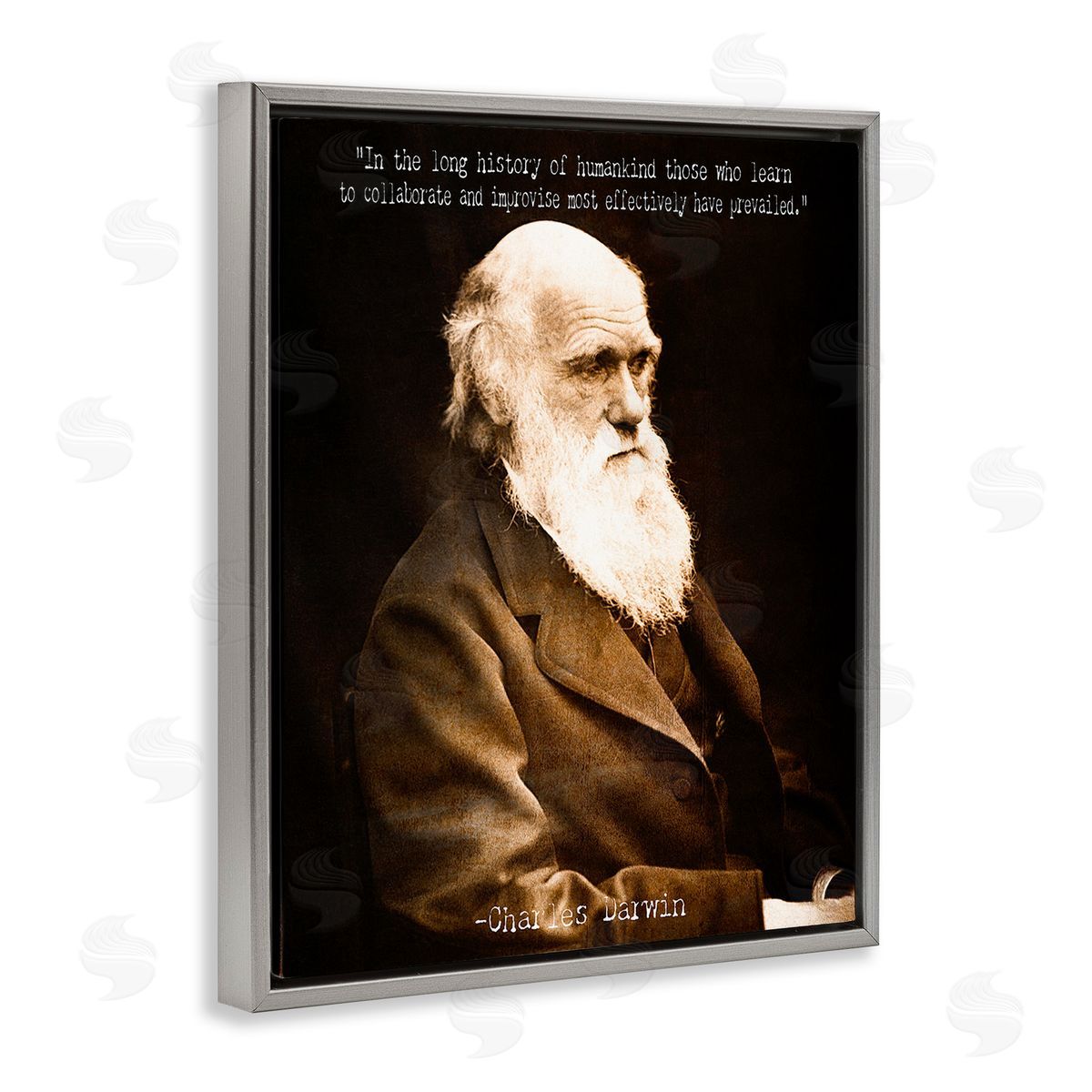 Graffitee Studios Inspiring Darwin Quote Gray Floating Frame Canvas Wall Art Print