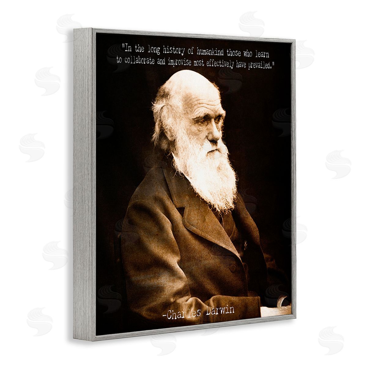 Graffitee Studios Inspiring Darwin Quote Gray Framed Giclee Wall Art Print