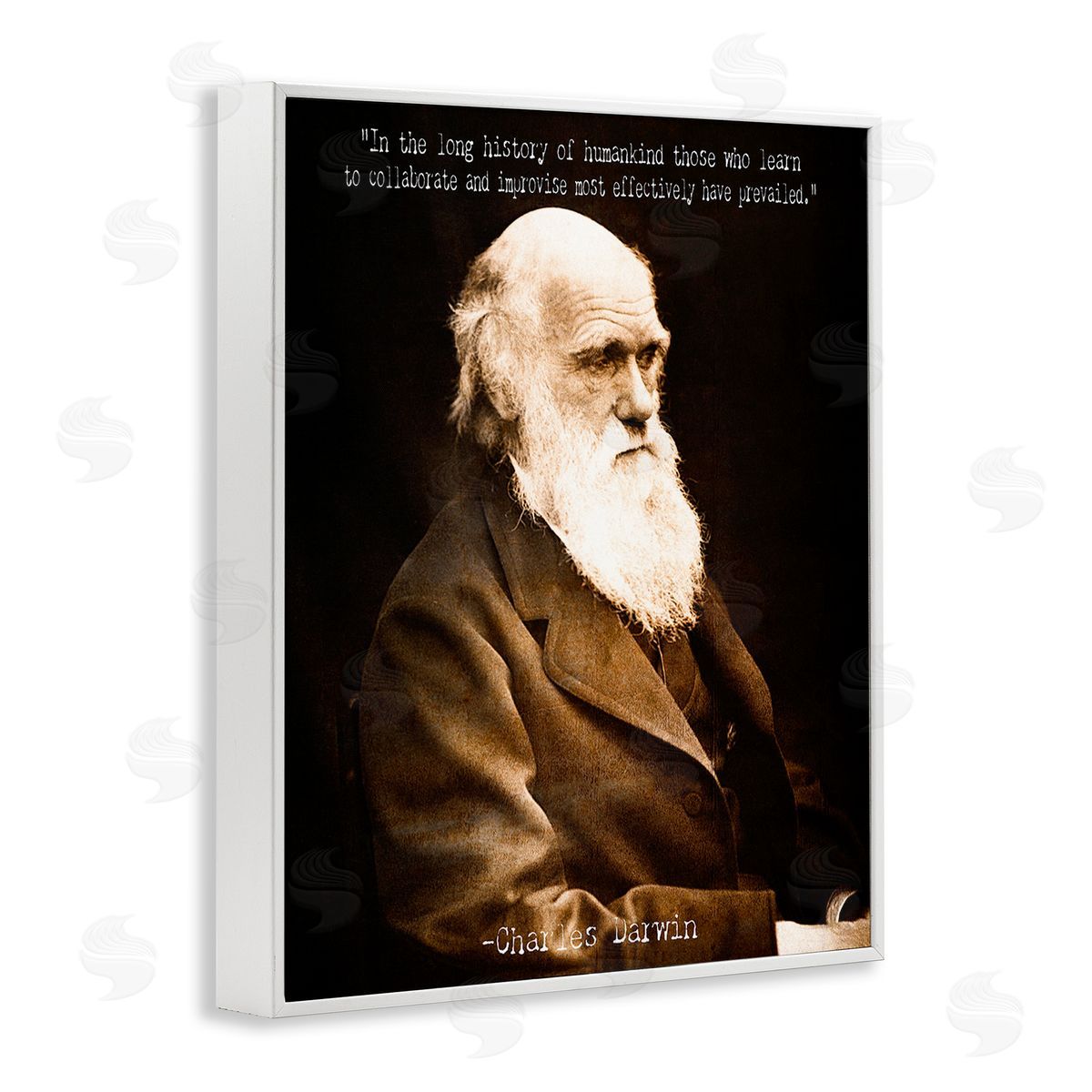 Graffitee Studios Inspiring Darwin Quote White Framed Giclee Wall Art Print
