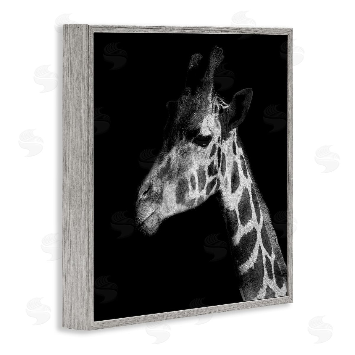 Patricia Pinto Jungle Giraffe Portrait Gray Framed Giclee Wall Art Print