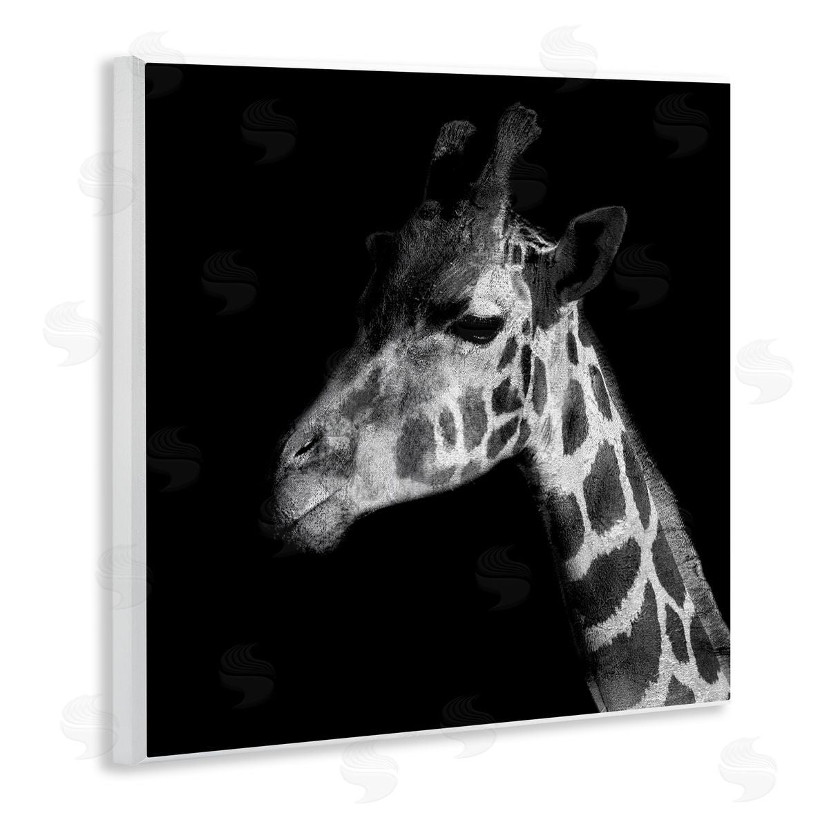 Patricia Pinto Jungle Giraffe Portrait Wooden Wall Plaque Art Print