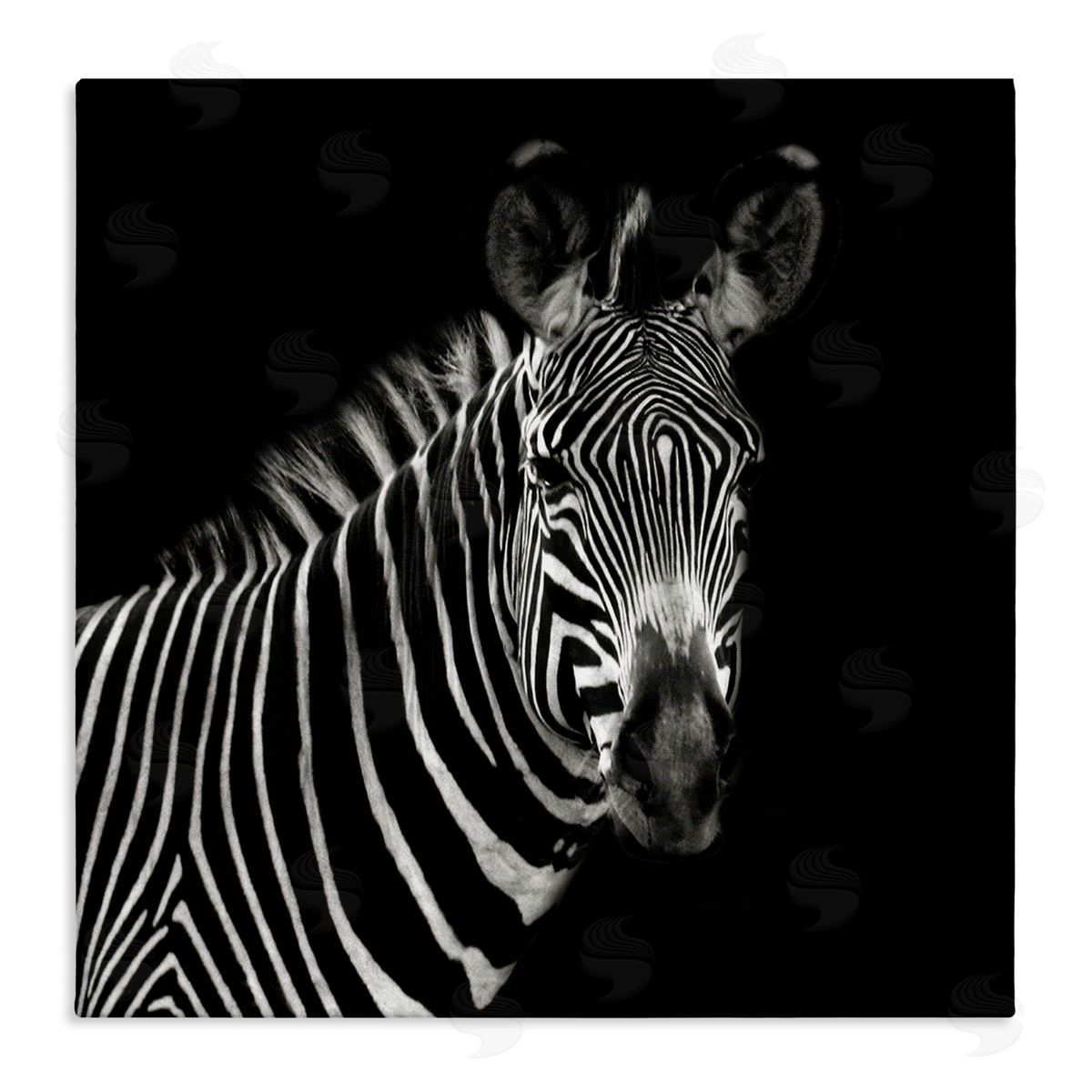 Susan Bryant Jungle Zebra Portrait Canvas Wall Art Print