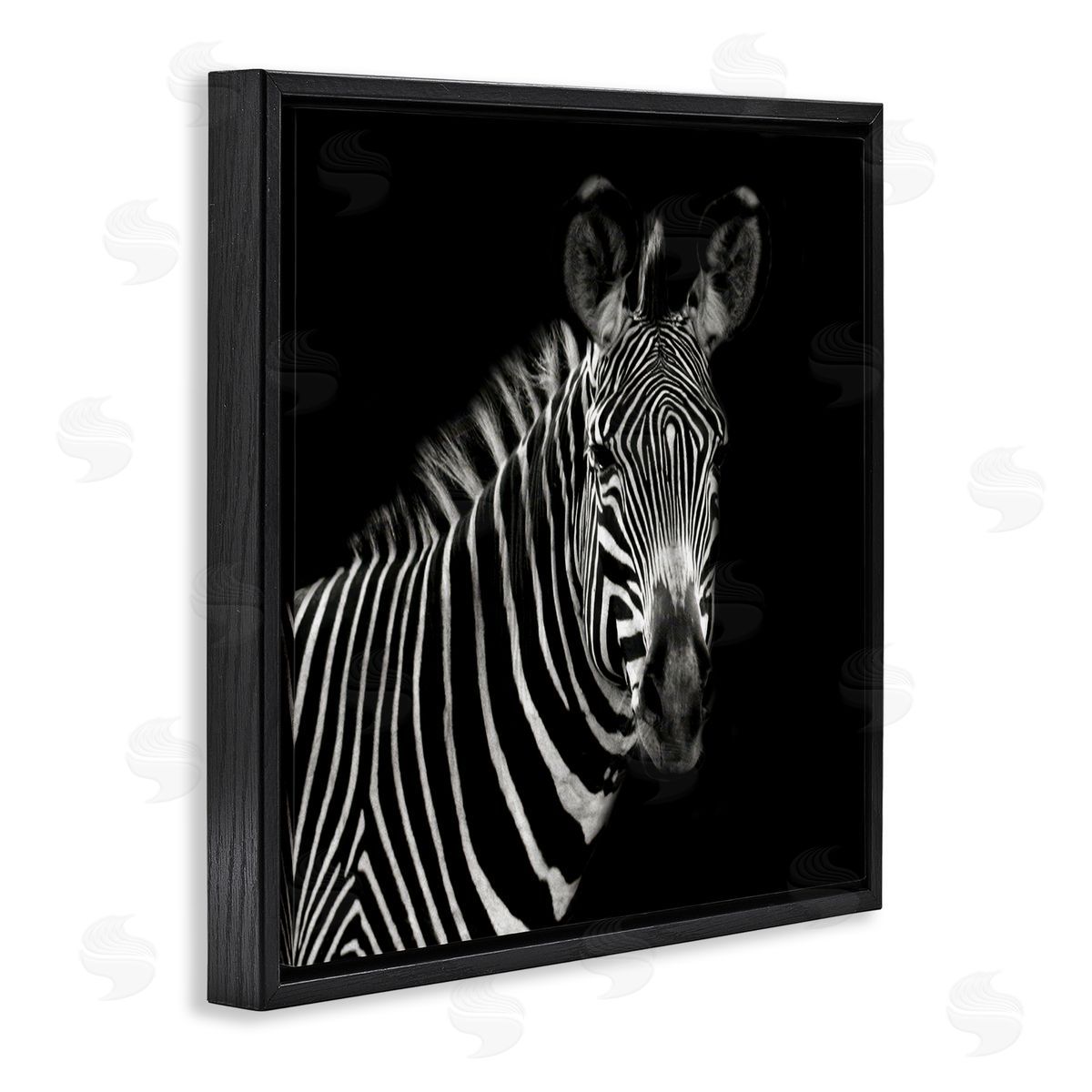 Susan Bryant Jungle Zebra Portrait Black Floating Frame Canvas Wall Art Print