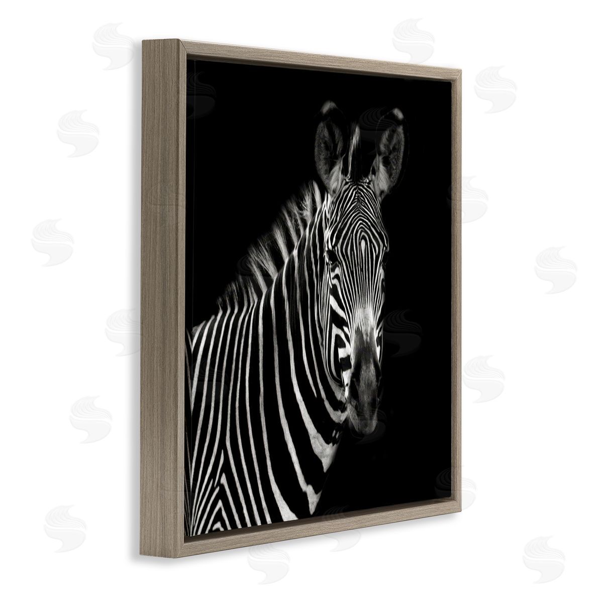 Susan Bryant Jungle Zebra Portrait Brown Floating Frame Canvas Wall Art Print