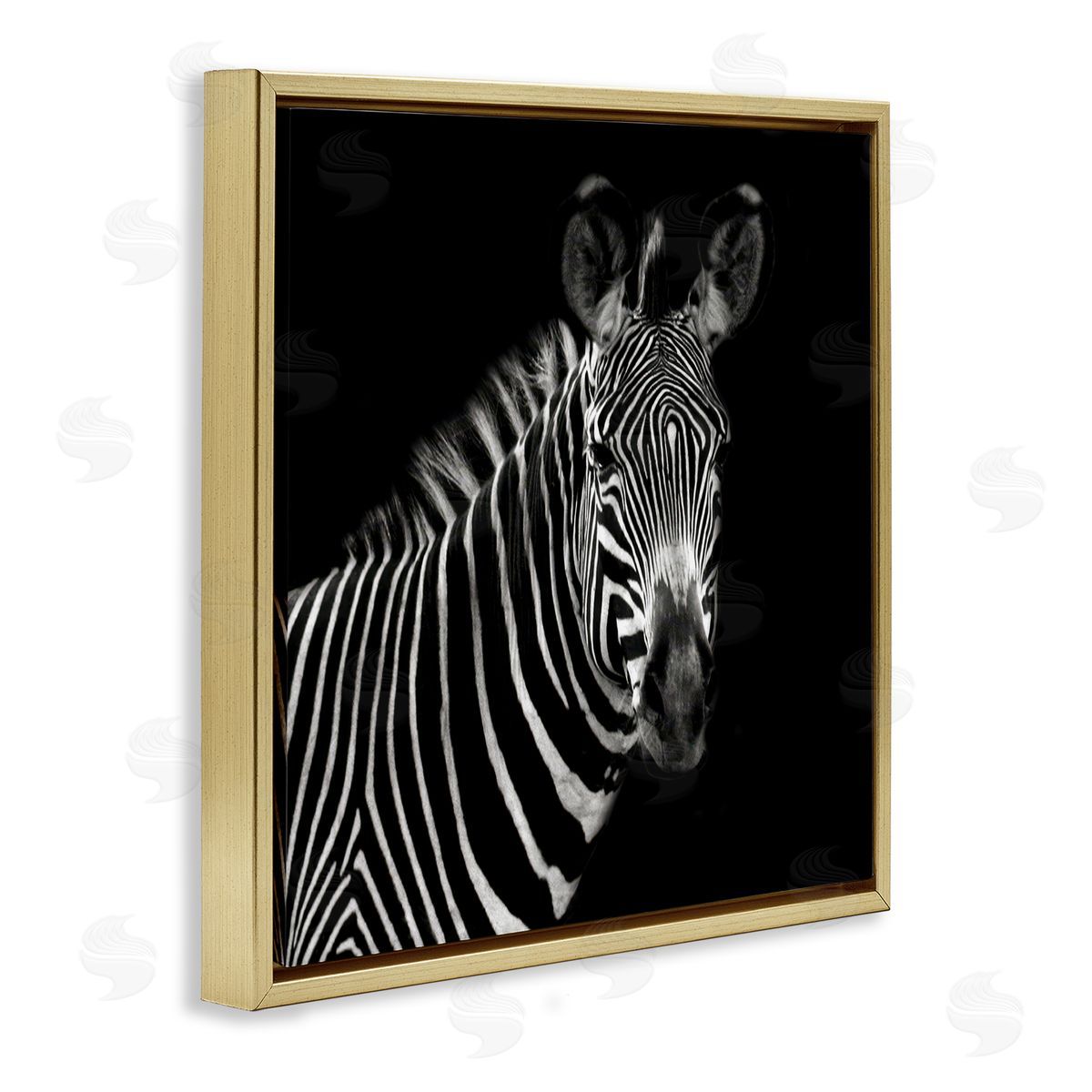 Susan Bryant Jungle Zebra Portrait Gold Floating Frame Canvas Wall Art Print