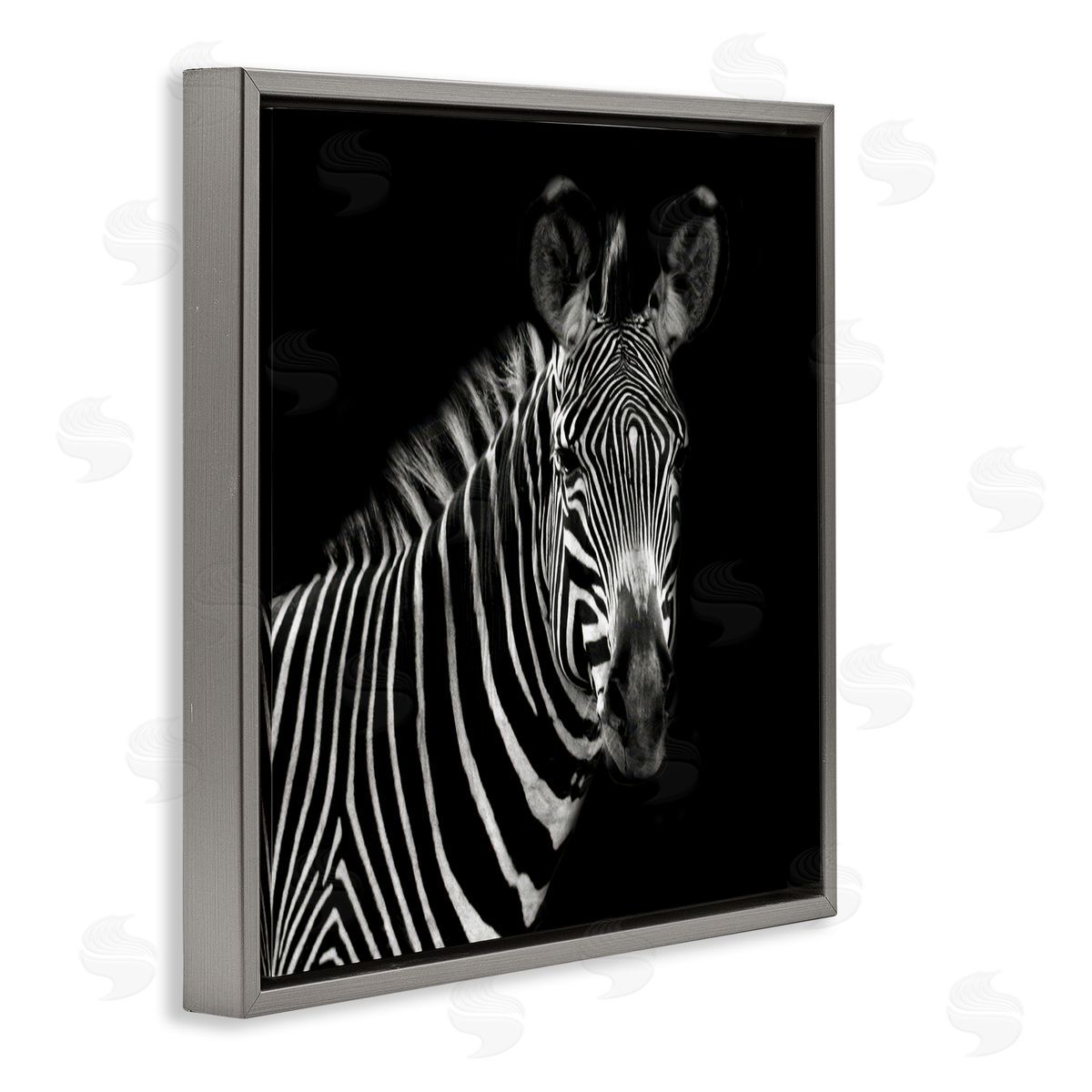 Susan Bryant Jungle Zebra Portrait Gray Floating Frame Canvas Wall Art Print