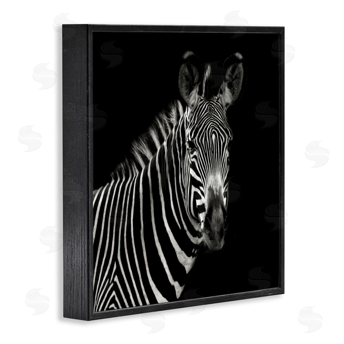 Susan Bryant Jungle Zebra Portrait Black Framed Giclee Wall Art Print