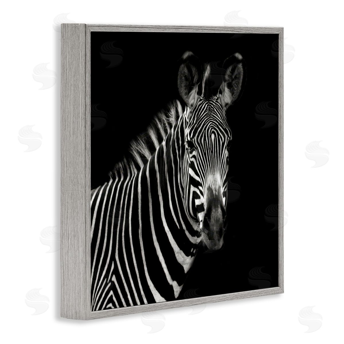 Susan Bryant Jungle Zebra Portrait Gray Framed Giclee Wall Art Print