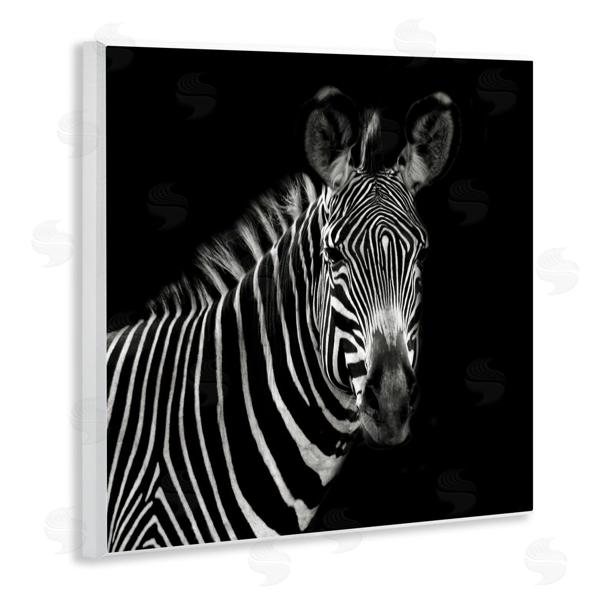 Susan Bryant Jungle Zebra Portrait Wooden Wall Plaque Art Print