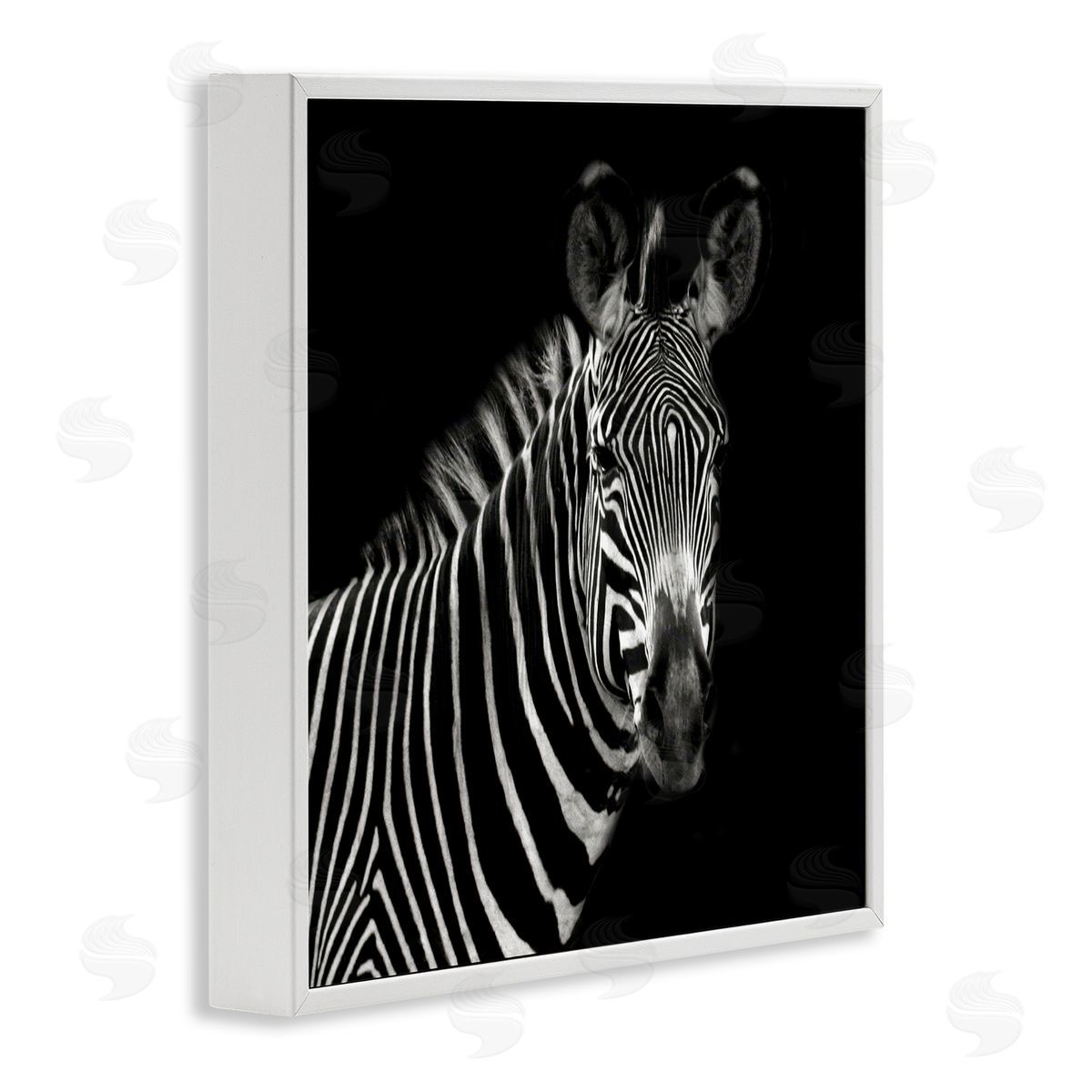 Susan Bryant Jungle Zebra Portrait White Framed Giclee Wall Art Print