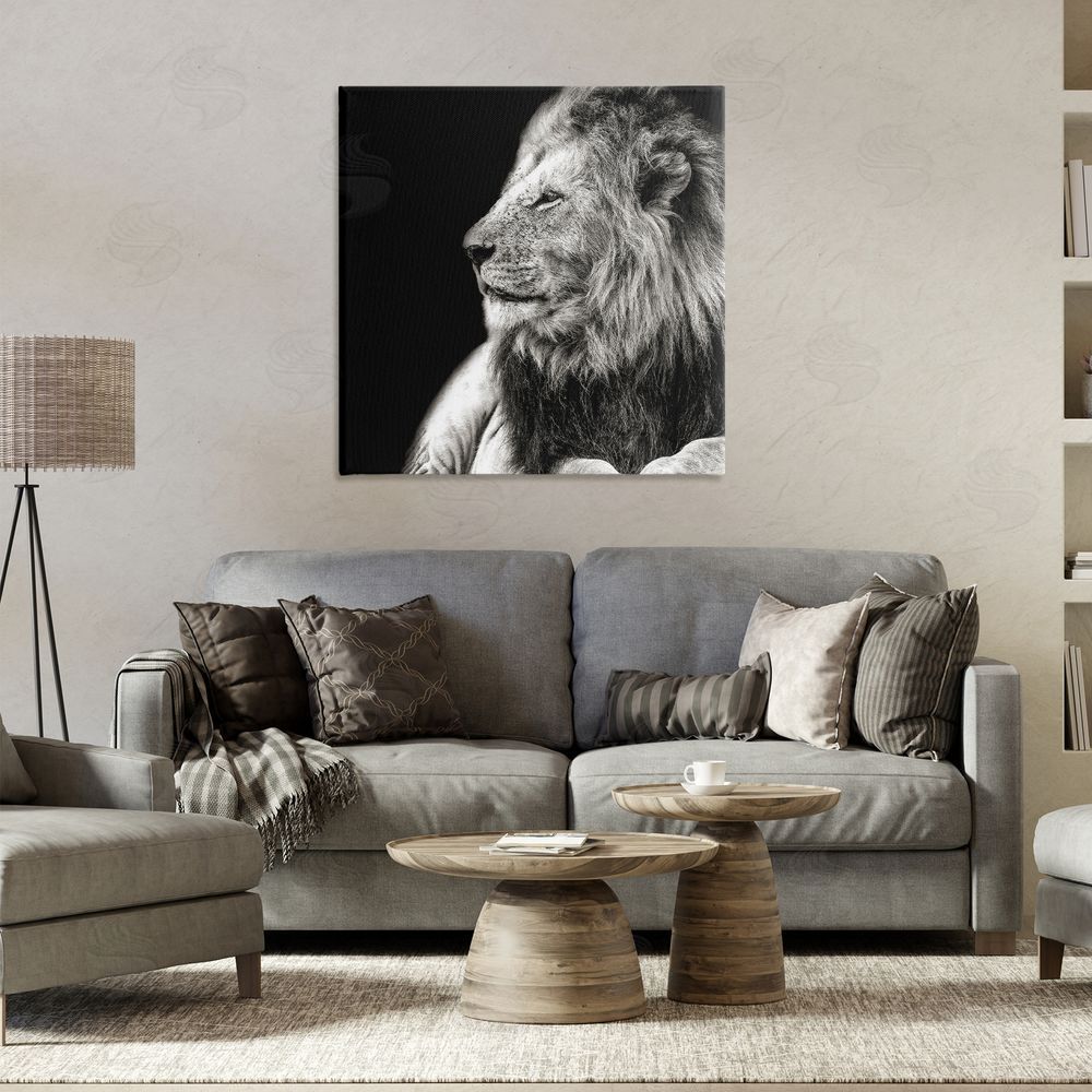 Shelley Lake Lion Portrait on Black Canvas Wall Art Print in Room