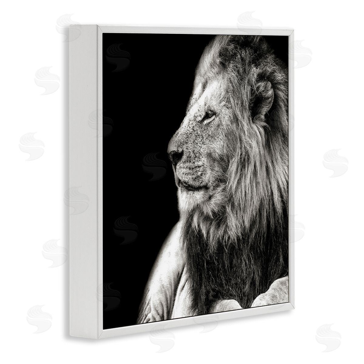 Shelley Lake Lion Portrait on Black White Framed Giclee Wall Art Print