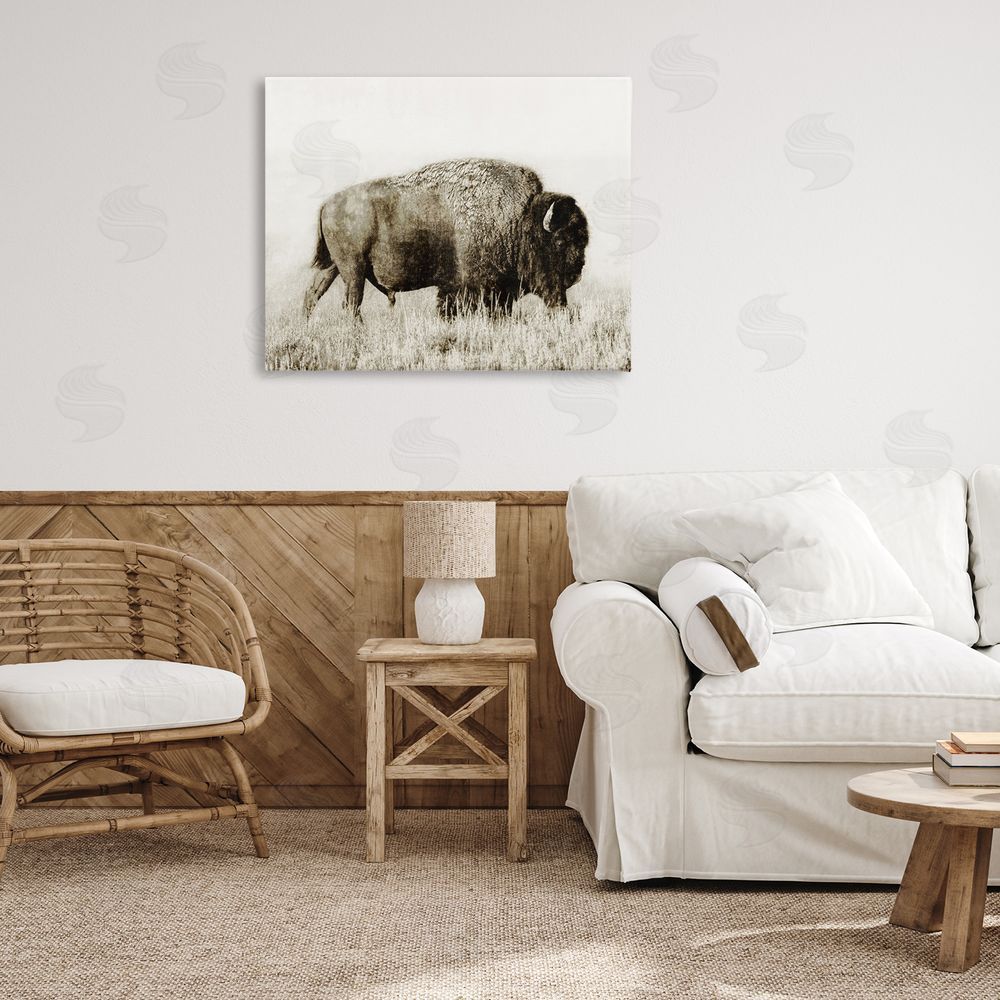 Dan Meneely Bison Grazing in Field Canvas Wall Art Print in Room
