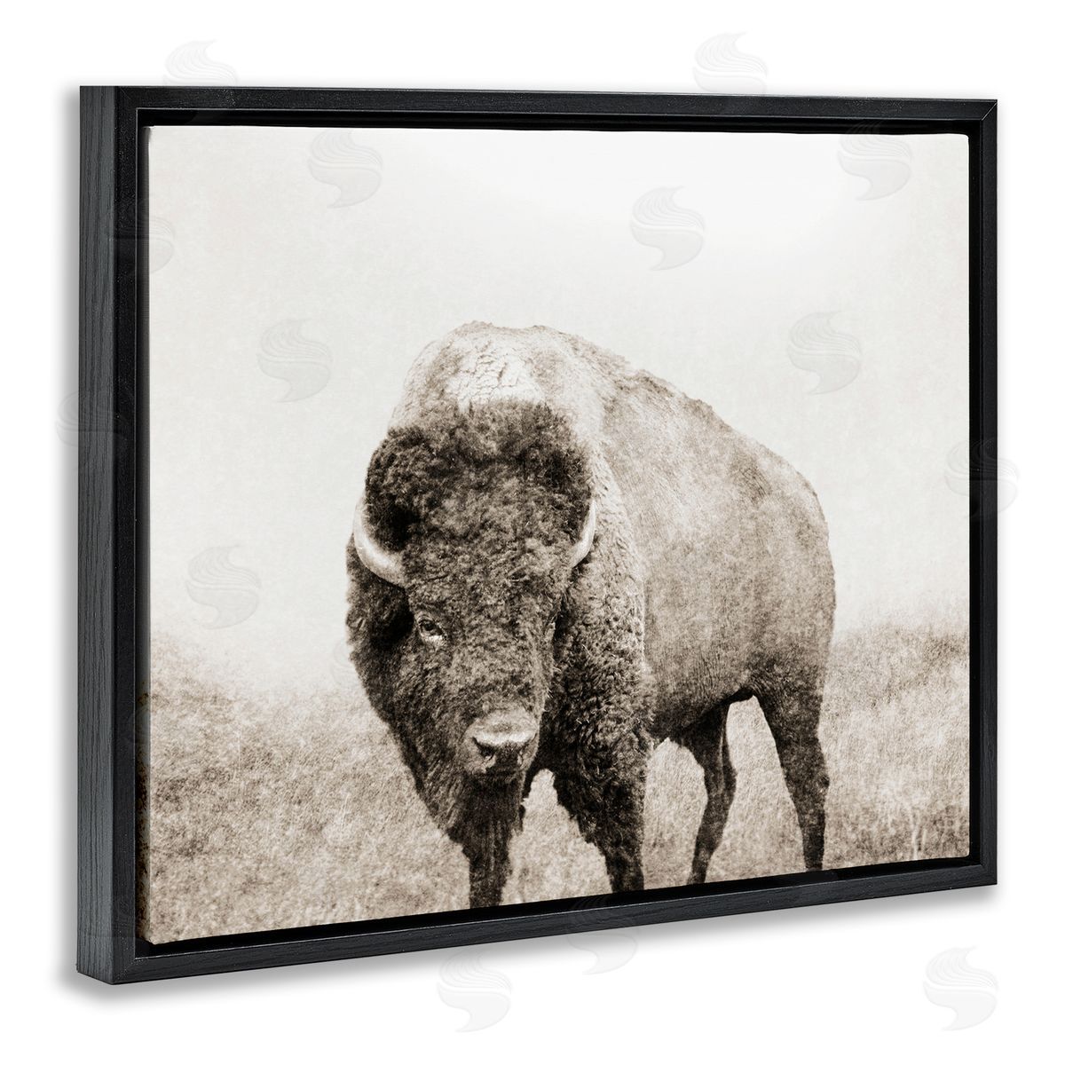 Bison Distressed Portrait Black Floating Frame Canvas Wall Art, Home Decor by Dan Meneely