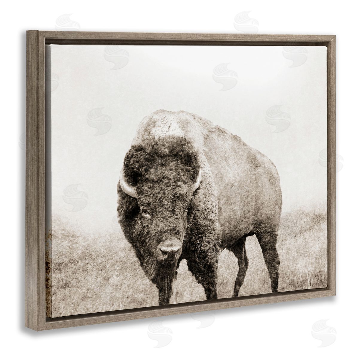 Bison Distressed Portrait Brown Floating Frame Canvas Wall Art, Home Decor by Dan Meneely