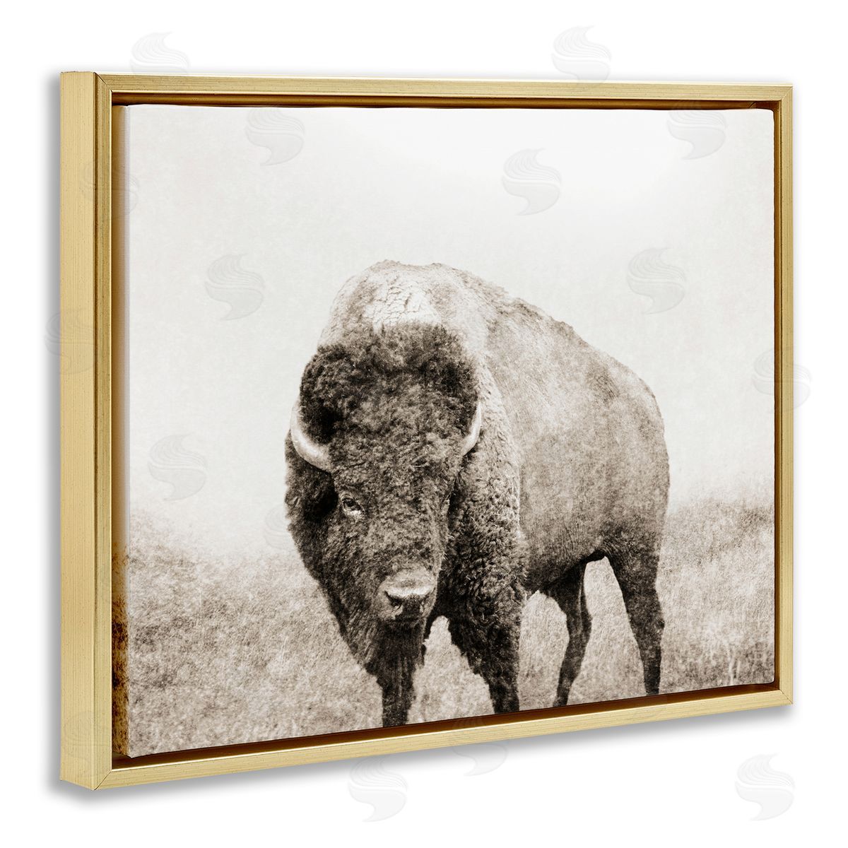 Bison Distressed Portrait Gold Floating Frame Canvas Wall Art, Home Decor by Dan Meneely