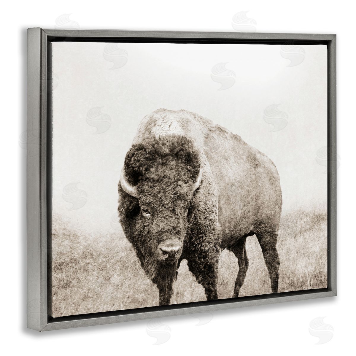Bison Distressed Portrait Grey Floating Frame Canvas Wall Art, Home Decor by Dan Meneely
