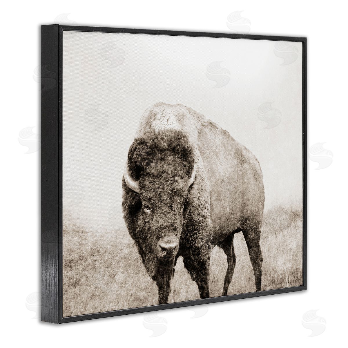 Bison Distressed Portrait Black Frame Print Wall Art, Home Decor by Dan Meneely
