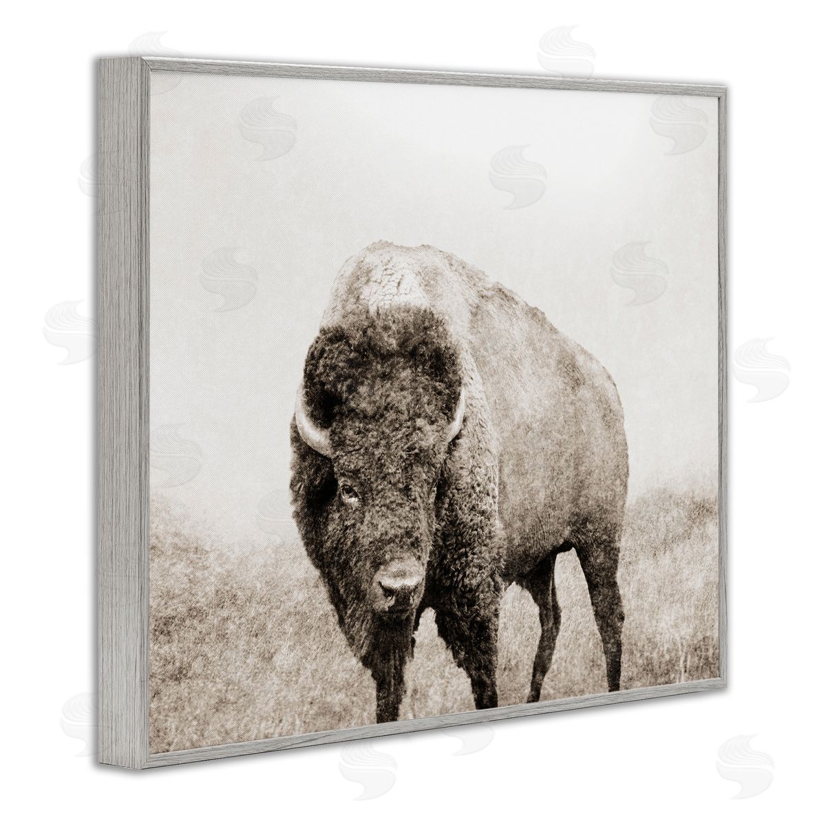 Bison Distressed Portrait Grey Frame Print Wall Art, Home Decor by Dan Meneely