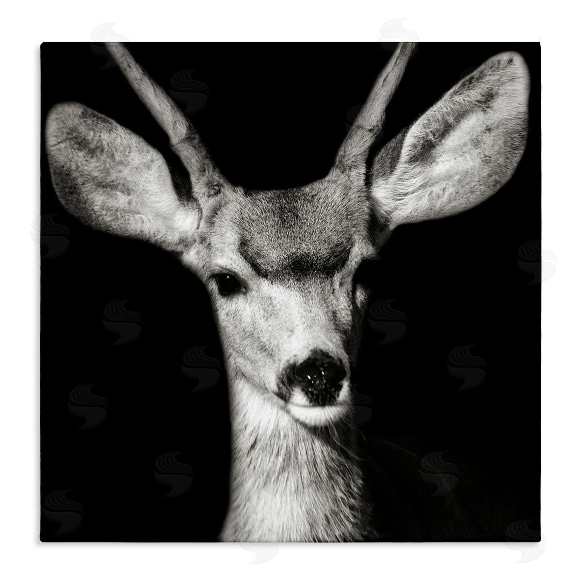 Gazing Deer Portrait Canvas Wall Art, Home Decor by Kathy Mansfield