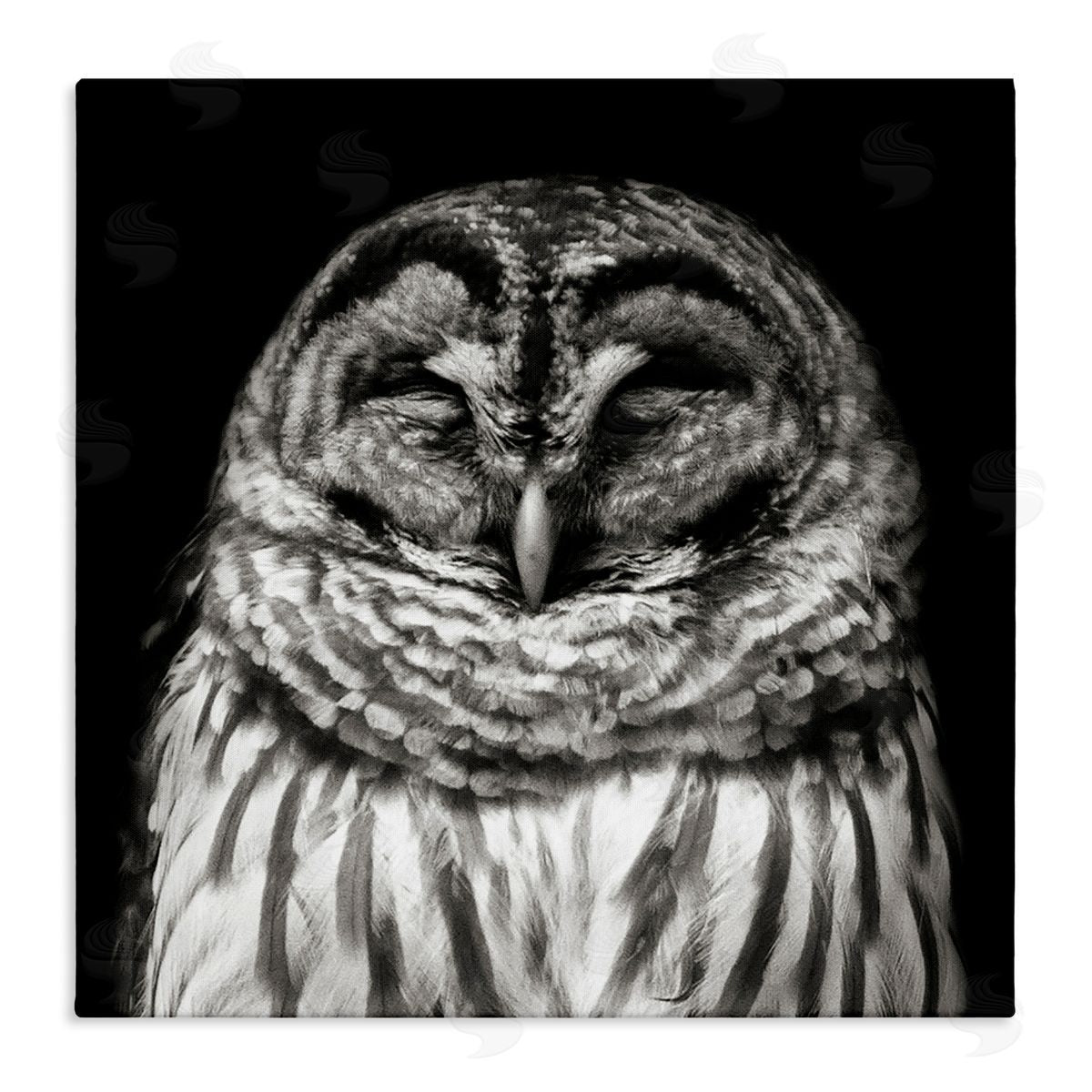 Sleeping Owl Portrait Canvas Wall Art, Home Decor by Kathy Mansfield