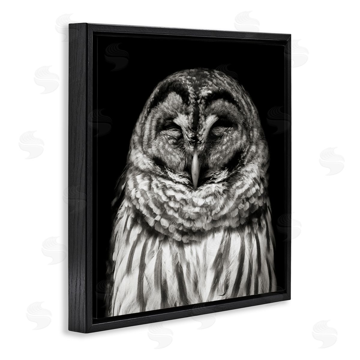 Sleeping Owl Portrait Black Floating Frame Canvas Wall Art, Home Decor by Kathy Mansfield