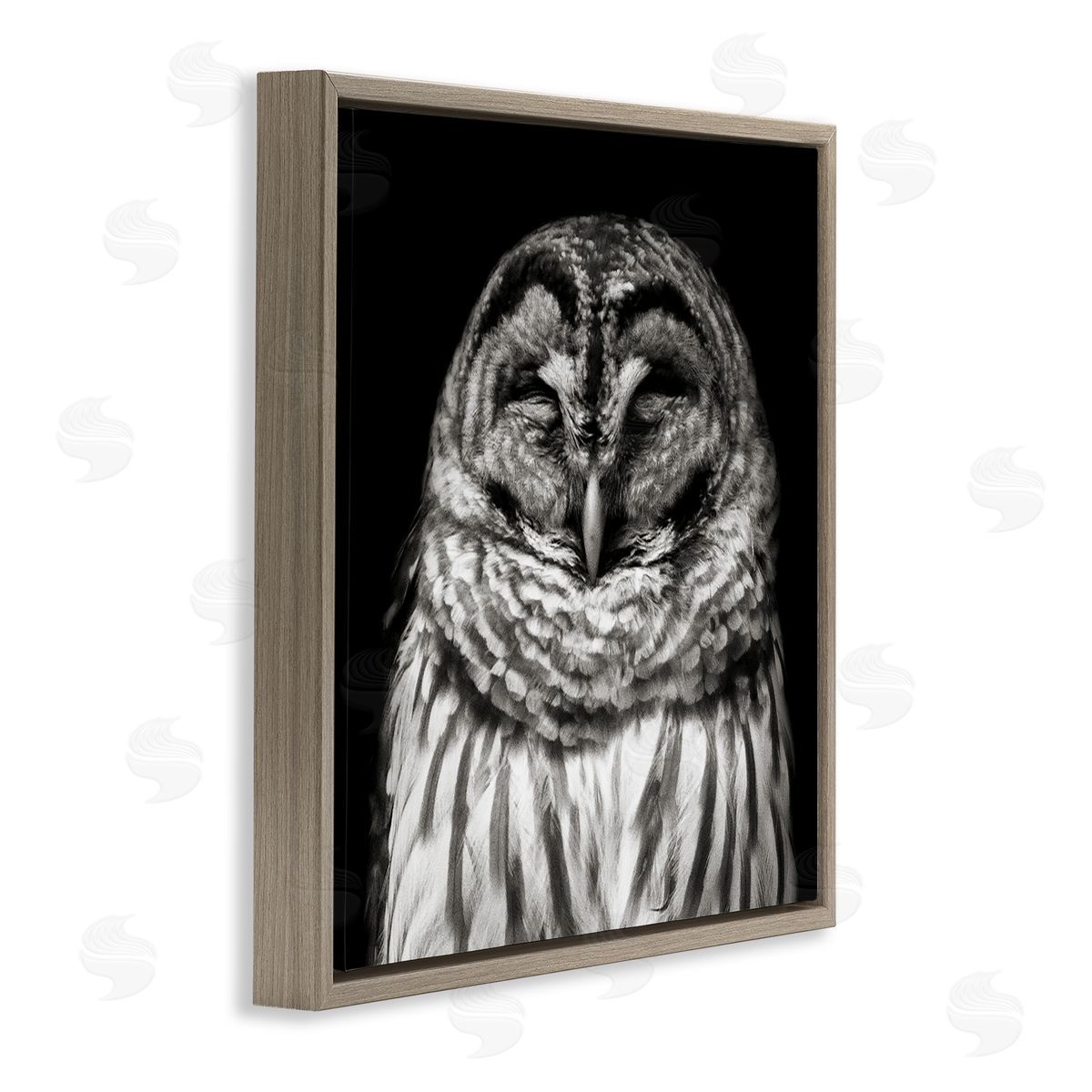 Sleeping Owl Portrait Brown Floating Frame Canvas Wall Art, Home Decor by Kathy Mansfield