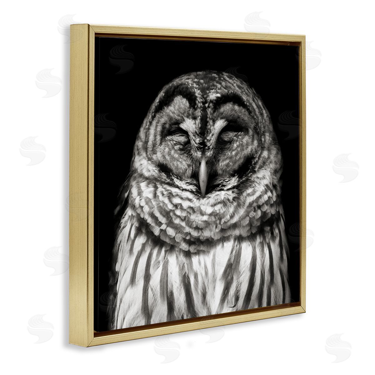 Sleeping Owl Portrait Gold Floating Frame Canvas Wall Art, Home Decor by Kathy Mansfield