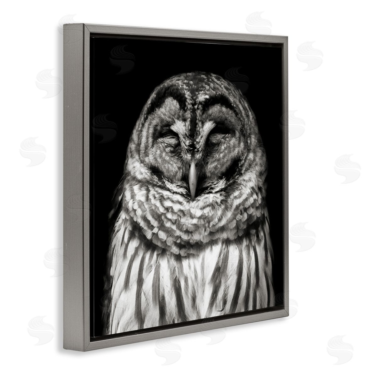 Sleeping Owl Portrait Grey Floating Frame Canvas Wall Art, Home Decor by Kathy Mansfield
