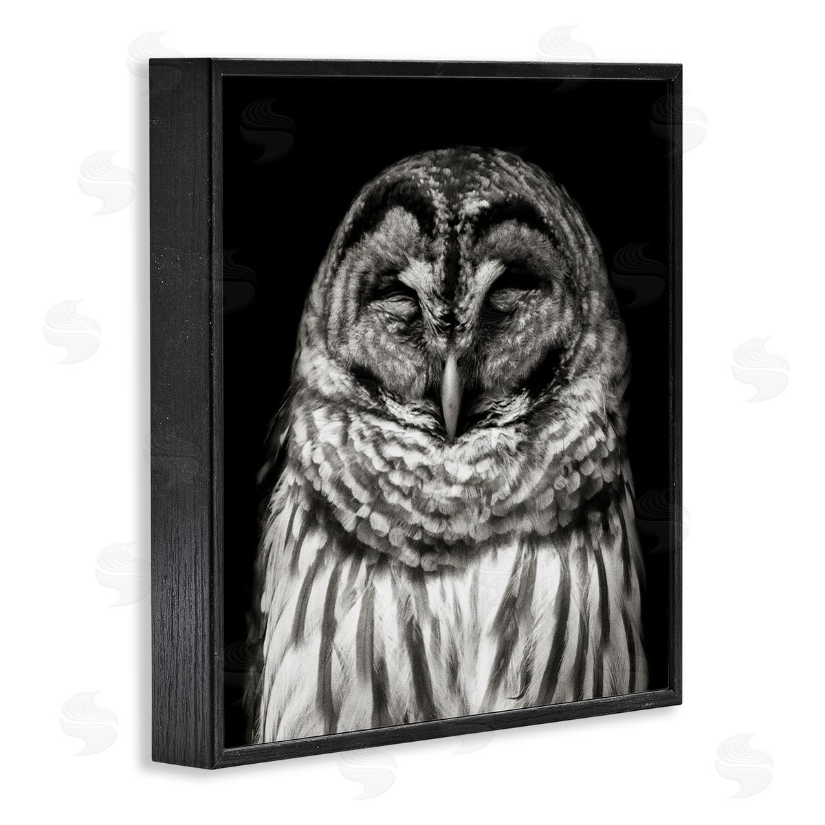 Sleeping Owl Portrait Black Frame Print Wall Art, Home Decor by Kathy Mansfield