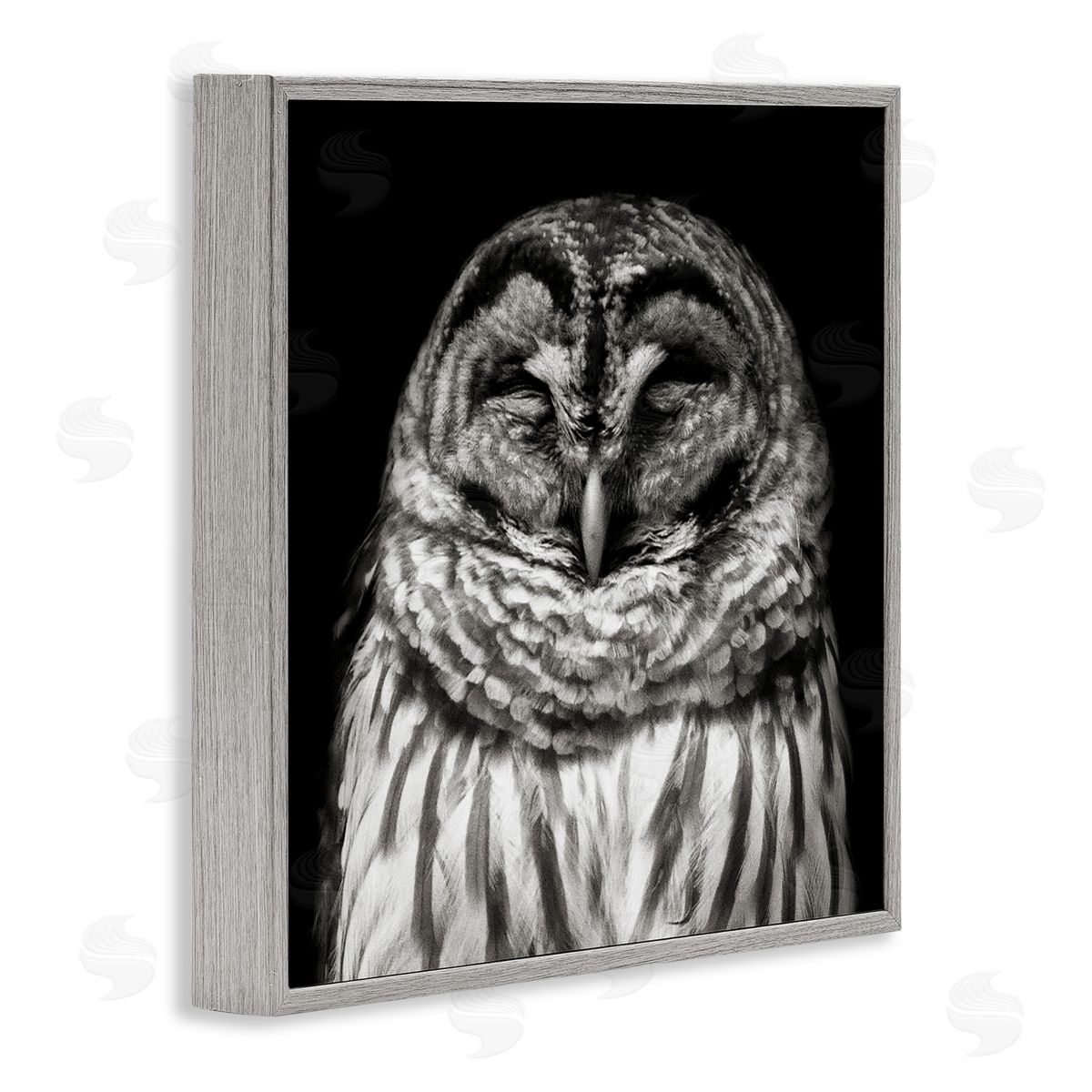 Sleeping Owl Portrait Grey Frame Print Wall Art, Home Decor by Kathy Mansfield