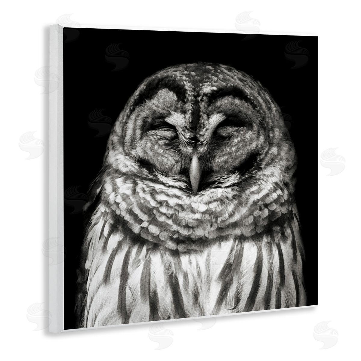 Sleeping Owl Portrait Wood Plaque Wall Art, Home Decor by Kathy Mansfield
