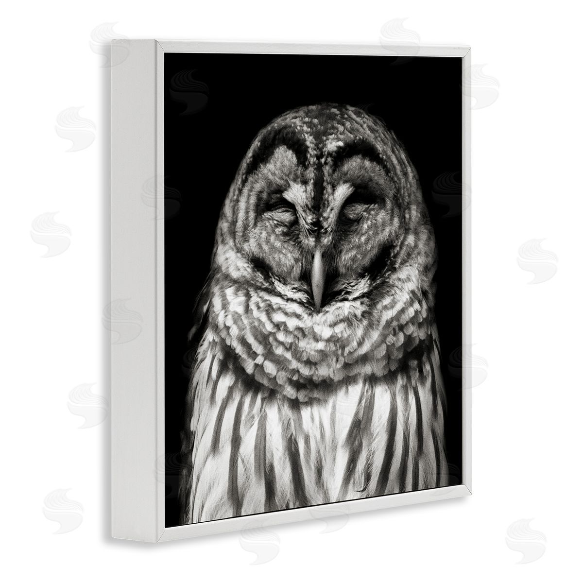 Sleeping Owl Portrait White Frame Print Wall Art, Home Decor by Kathy Mansfield