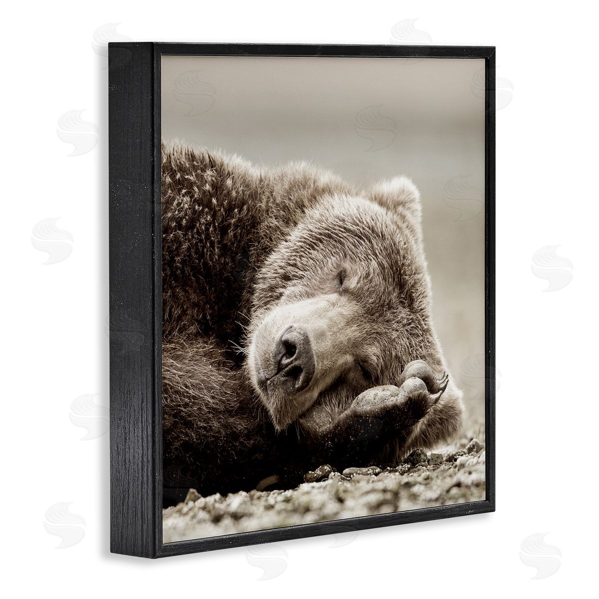 Cozy Sleeping Bear Black Frame Print Wall Art, Home Decor by Danita Delimont