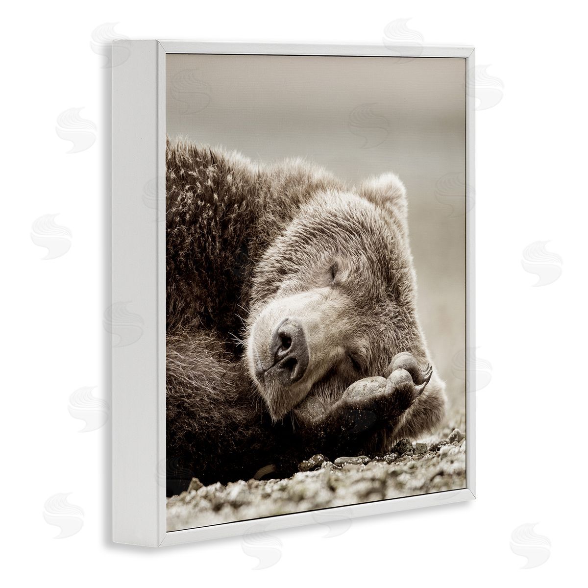 Cozy Sleeping Bear White Frame Print Wall Art, Home Decor by Danita Delimont