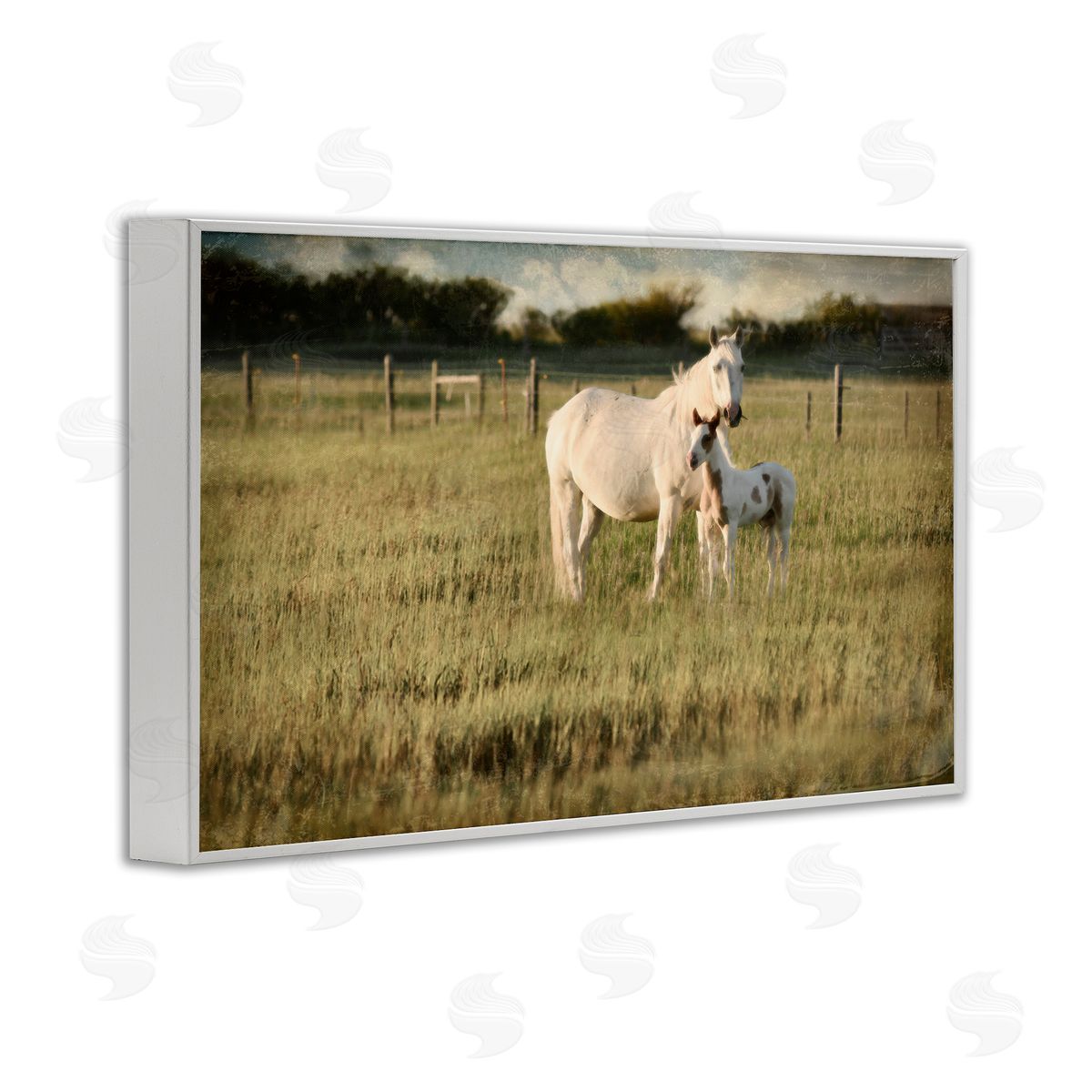 Rural Horse and Foal White Frame Print Wall Art, Home Decor by Rhonda Addison