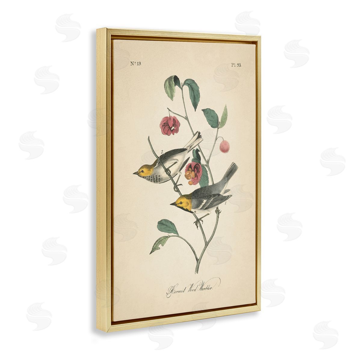 Vintage Warbler and Plants Gold Floating Frame Canvas Wall Art, Home Decor by Wild Apple Portfolio