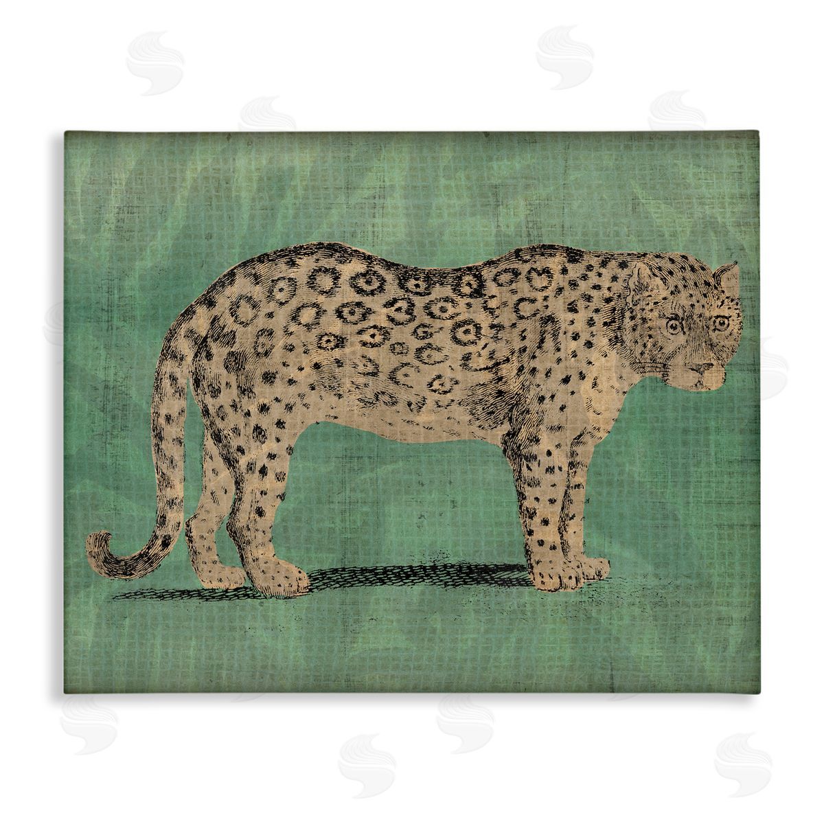 Traditional Cheetah on Green Canvas Wall Art, Home Decor by June Erica Vess
