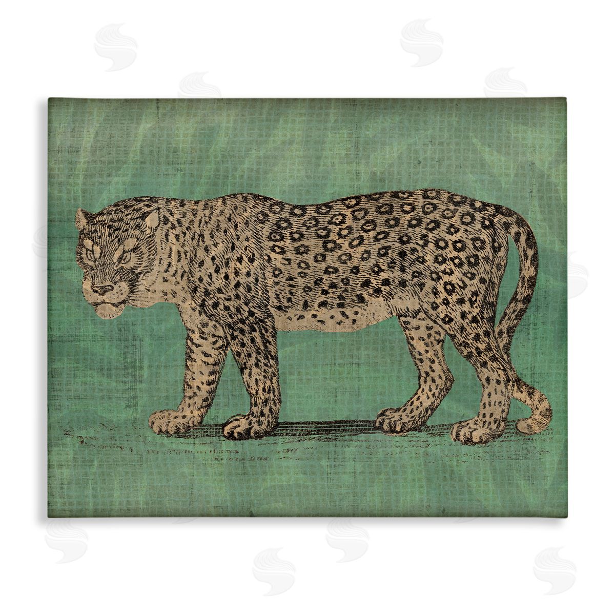 Fierce Leopard on Green Canvas Wall Art, Home Decor by June Erica Vess