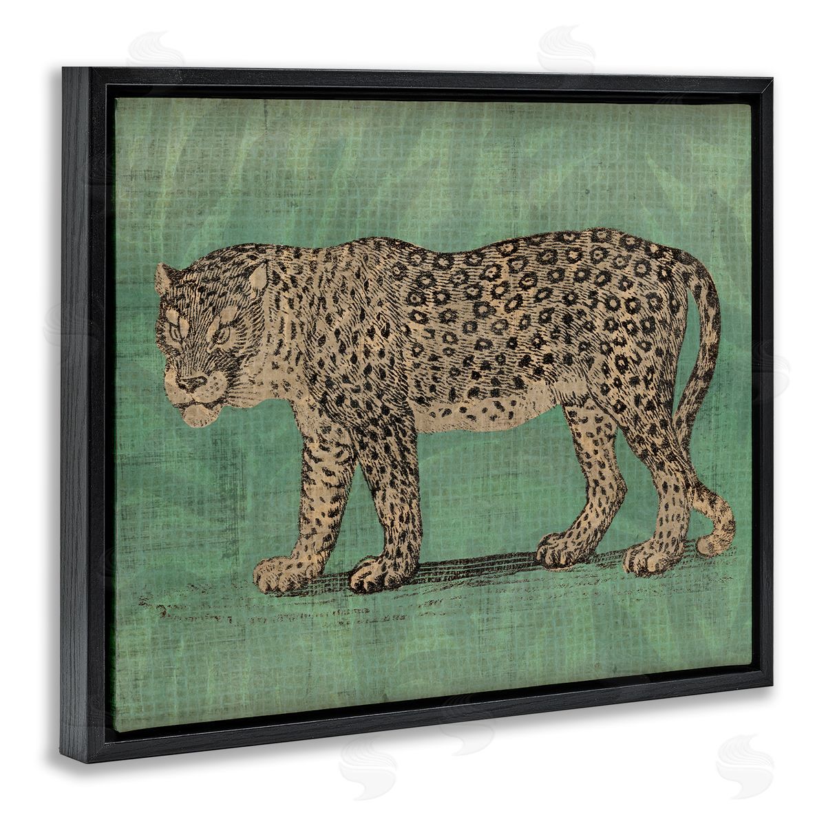 Fierce Leopard on Green Black Floating Frame Canvas Wall Art, Home Decor by June Erica Vess