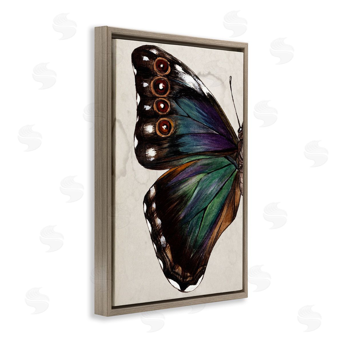 Traditional Butterfly Wing Brown Floating Frame Canvas Wall Art, Home Decor by Melissa Wang