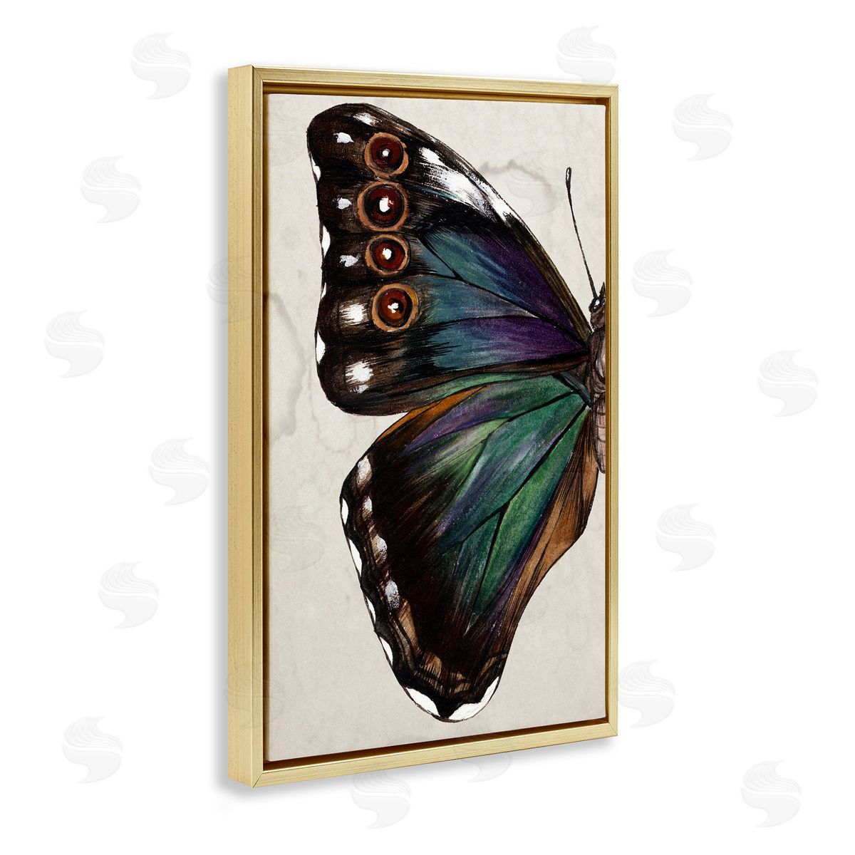 Traditional Butterfly Wing Gold Floating Frame Canvas Wall Art, Home Decor by Melissa Wang