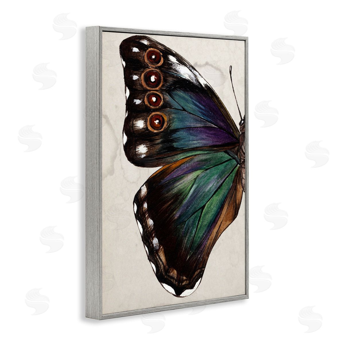 Traditional Butterfly Wing Grey Frame Print Wall Art, Home Decor by Melissa Wang