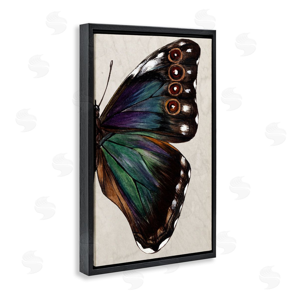 Classic Butterfly Wing Black Floating Frame Canvas Wall Art, Home Decor by Melissa Wang