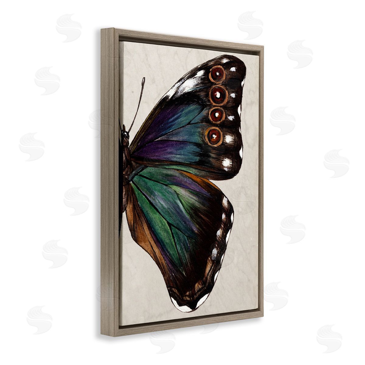 Classic Butterfly Wing Brown Floating Frame Canvas Wall Art, Home Decor by Melissa Wang