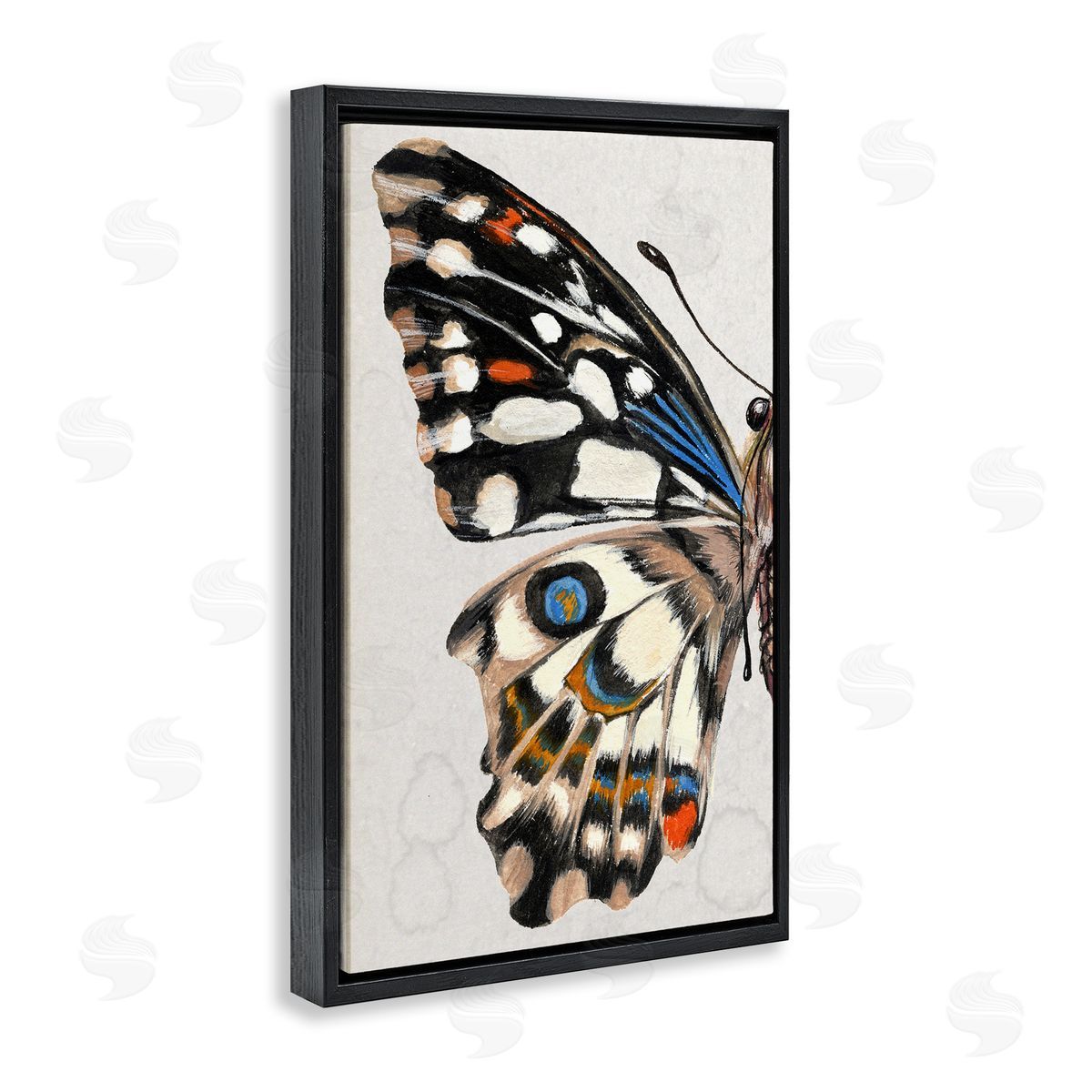 Spotted Butterfly Wing Black Floating Frame Canvas Wall Art, Home Decor by Melissa Wang