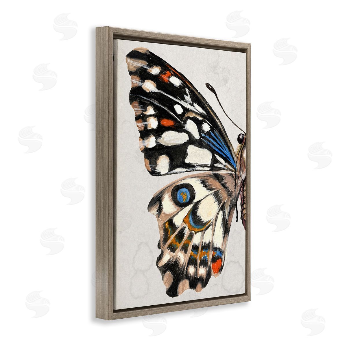 Spotted Butterfly Wing Brown Floating Frame Canvas Wall Art, Home Decor by Melissa Wang