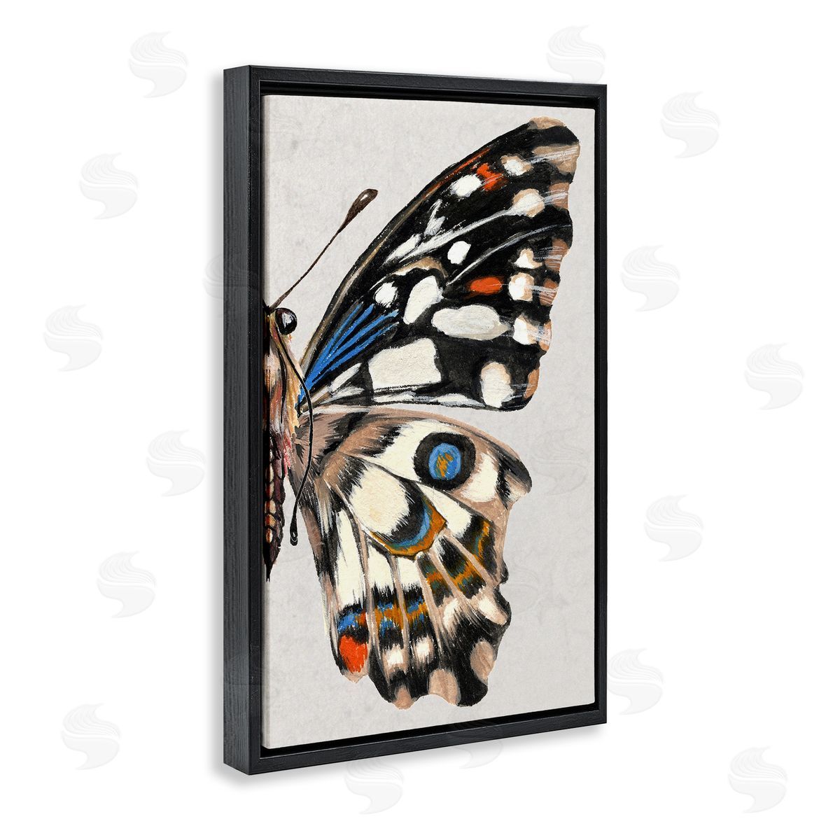 Butterfly Wing with Spots Black Floating Frame Canvas Wall Art, Home Decor by Melissa Wang