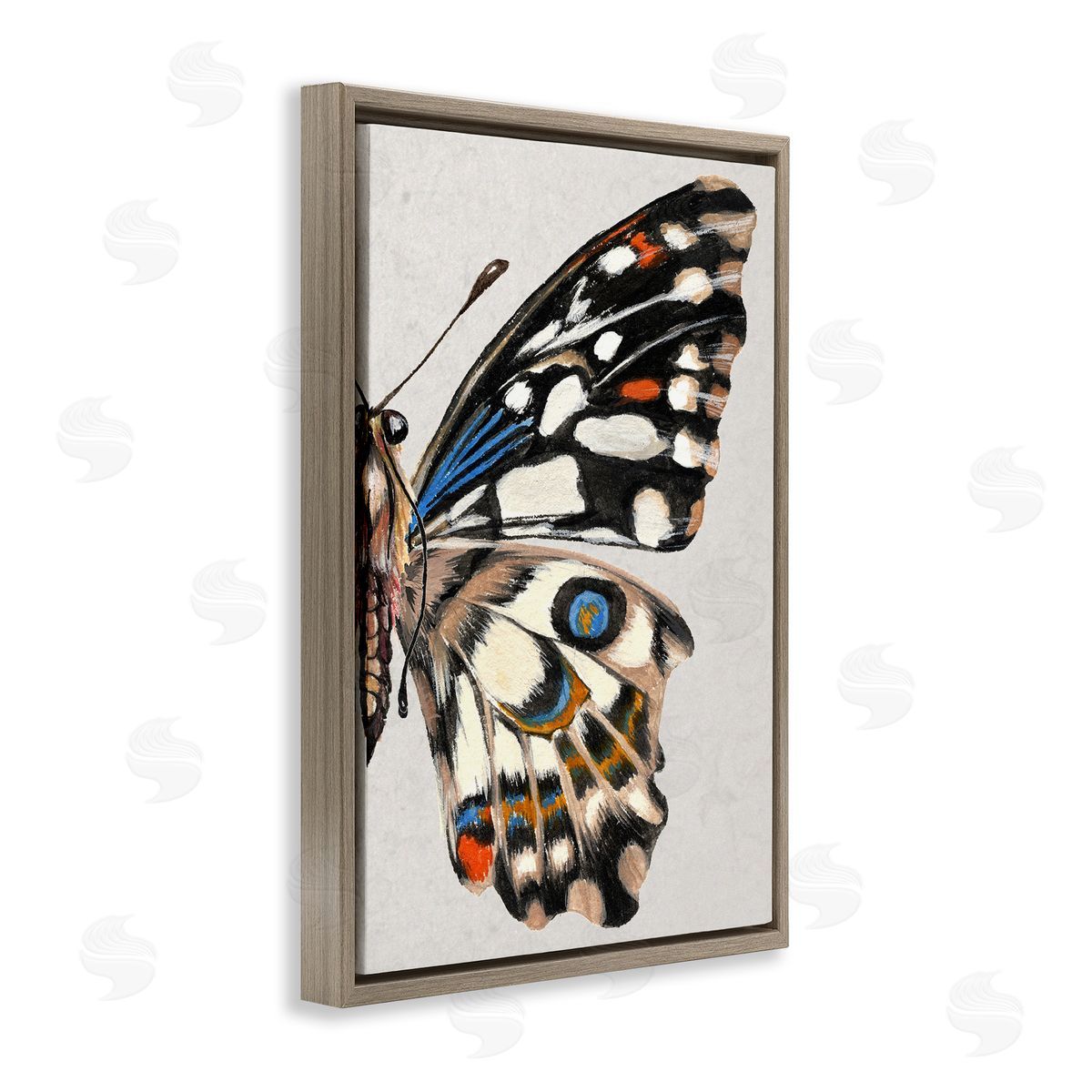 Butterfly Wing with Spots Brown Floating Frame Canvas Wall Art, Home Decor by Melissa Wang
