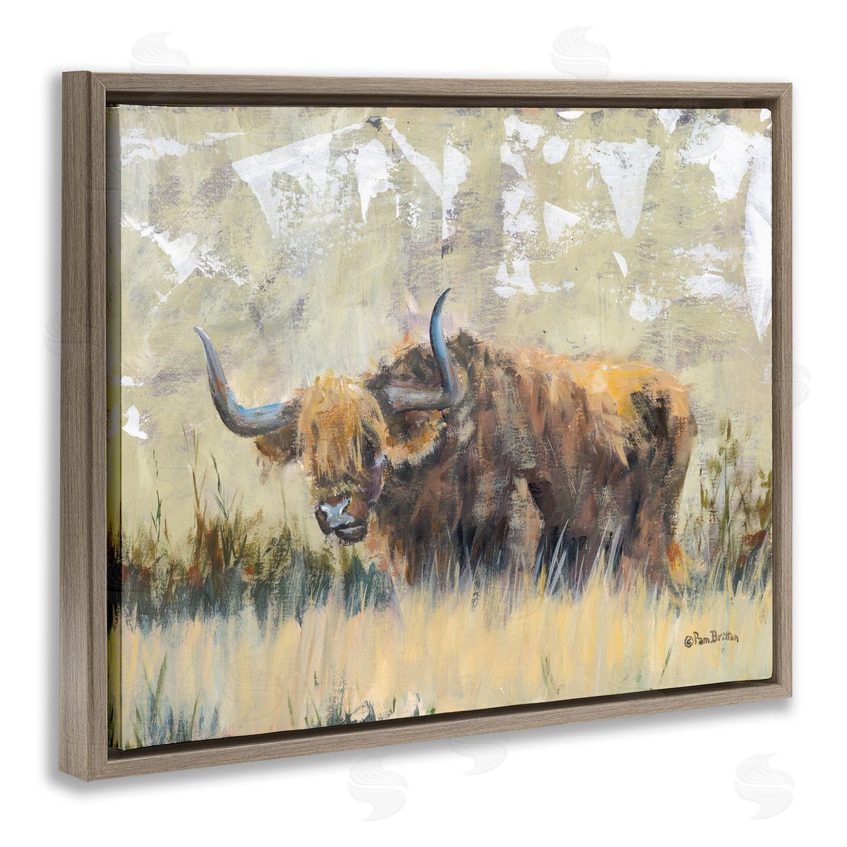 Rustic Patterned Longhorn Brown Floating Frame Canvas Wall Art, Home Decor by Pam Britton